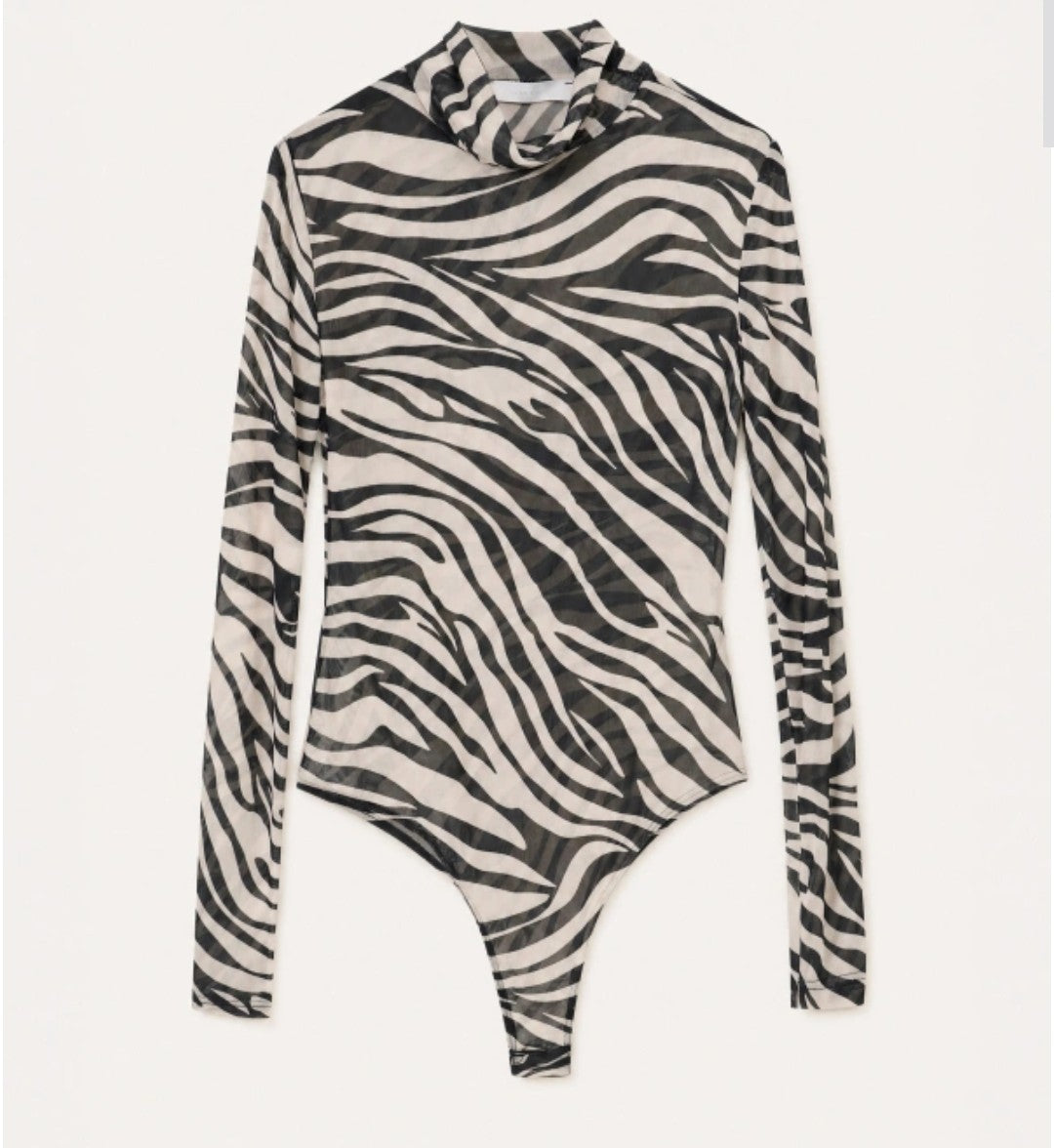 Zebra body