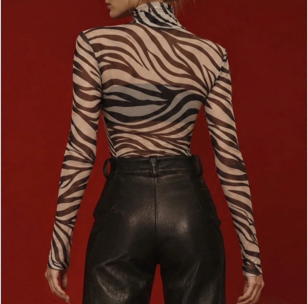 Zebra body