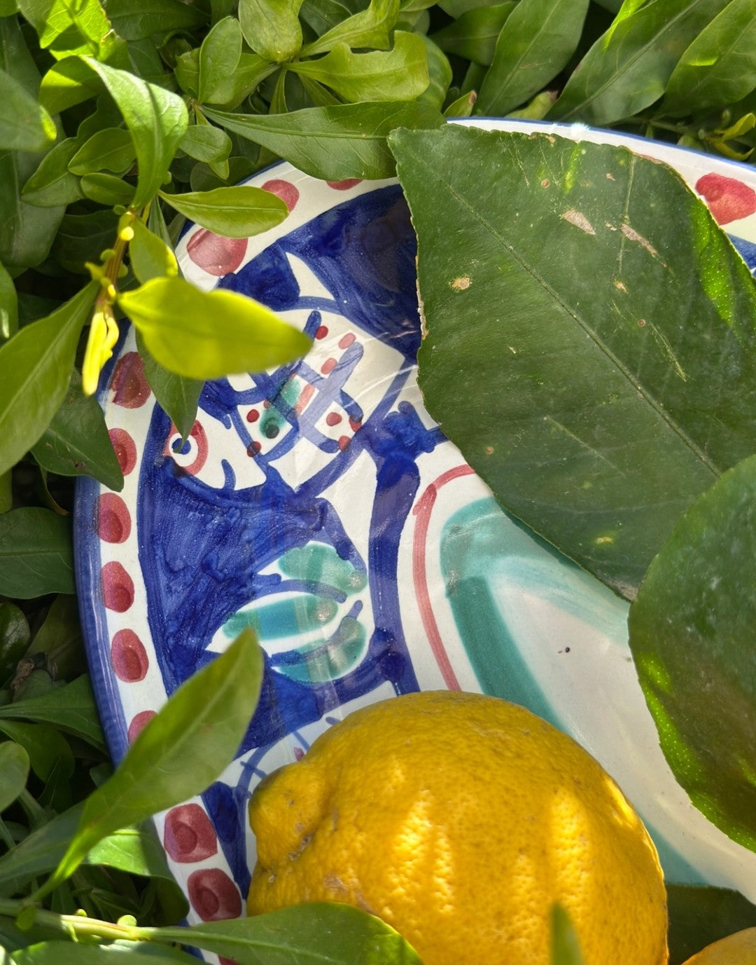 Blu Tartaruga Oval Plate